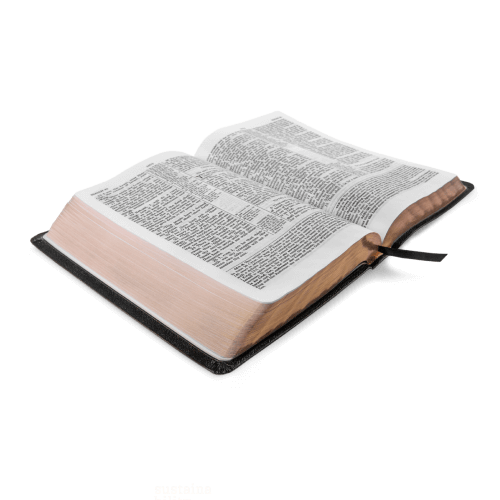 bible