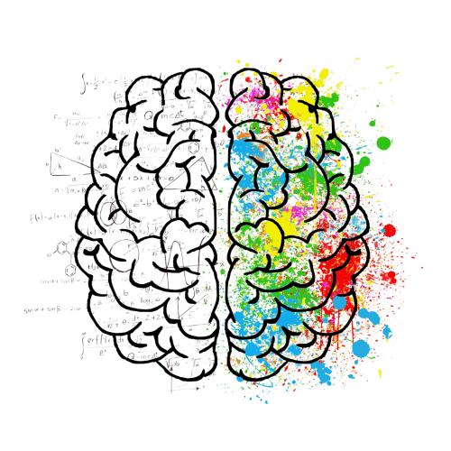 Illustration of a brain with the left side in black and white showing logic and equations, and the right side in vibrant colors with paint splatters representing creativity